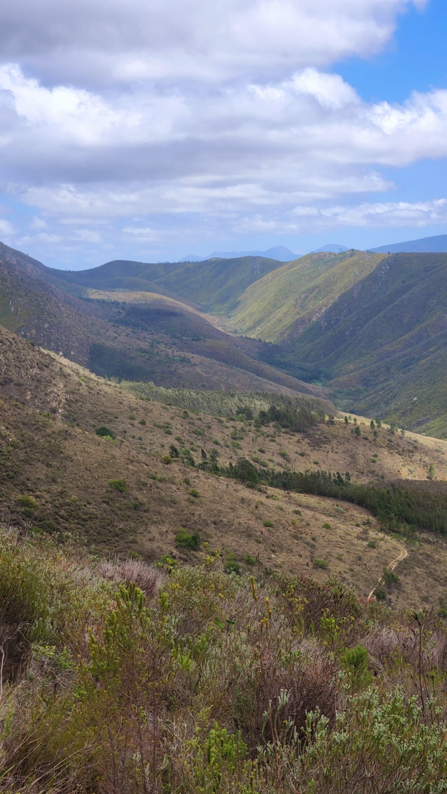 Commercial Property for Sale in Uniondale Rural Western Cape